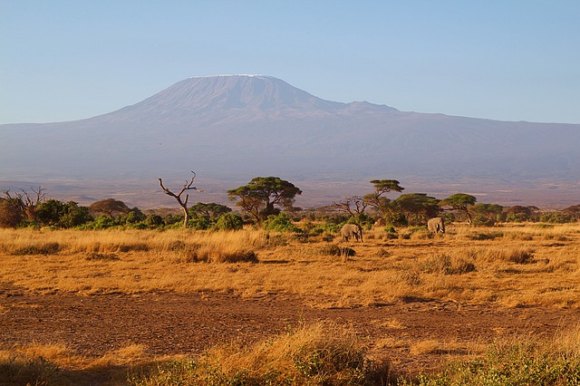 image kenya
